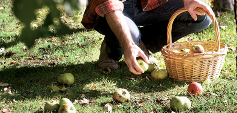 افتحوا الحقول أمام الفقراء.. هل تعالج هذه العادة العتيقة الجوع حول العالم؟