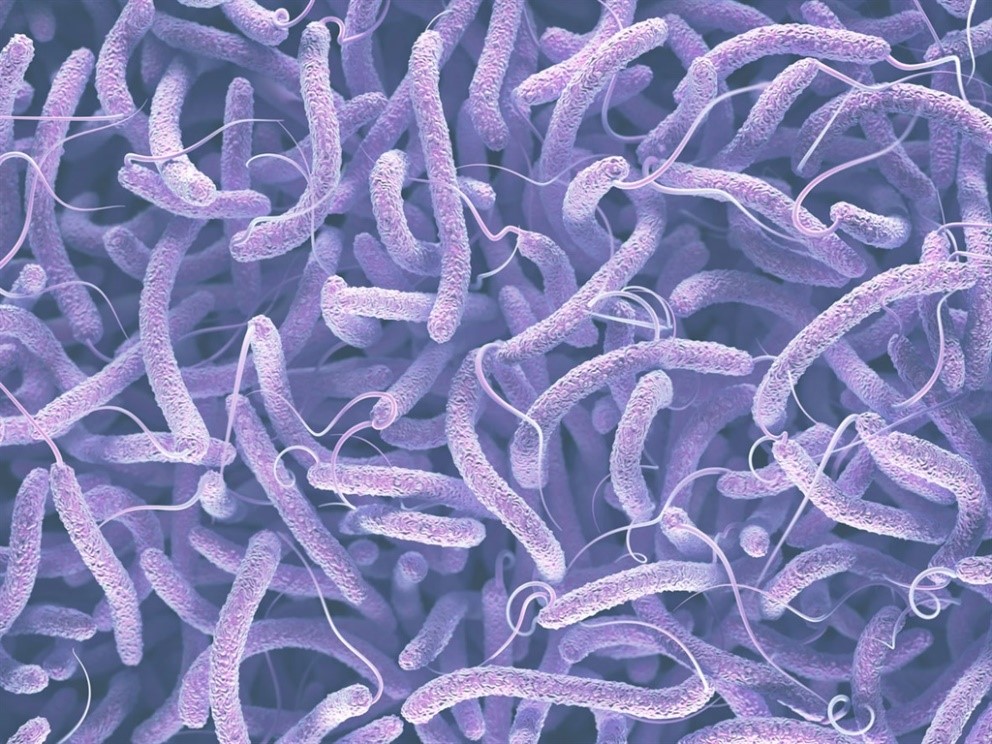كيف انتهت 5 من أسوأ الأوبئة في التاريخ