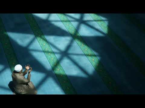 دعاء الحاجة ……… للدكتور محمد راتب النابلسي