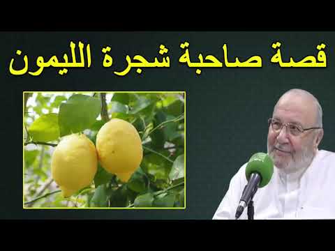 قصة صاحبة شجرة الليمون ……… يرويها الدكتور محمد راتب النابلسي