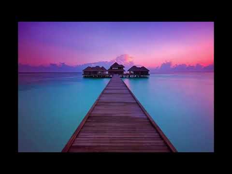 دكتور ابراهيم الفقى   تعرف على الاربع شخصيات داخل كل إنسان   Dr Ibrahim Elfiky w4oYNW1pgoU