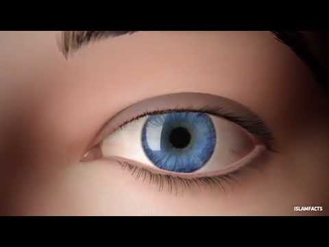 إكتشف قدراتك الخارقة   روائع إبراهيم الفقي