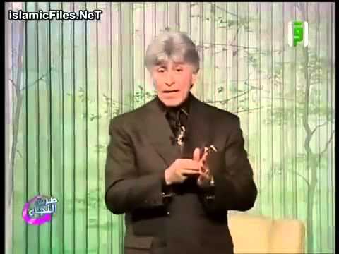 ابراهيم الفقى (التسامح)