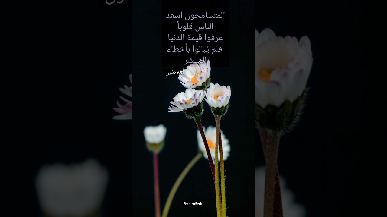 أقوال خلدها التاريخ