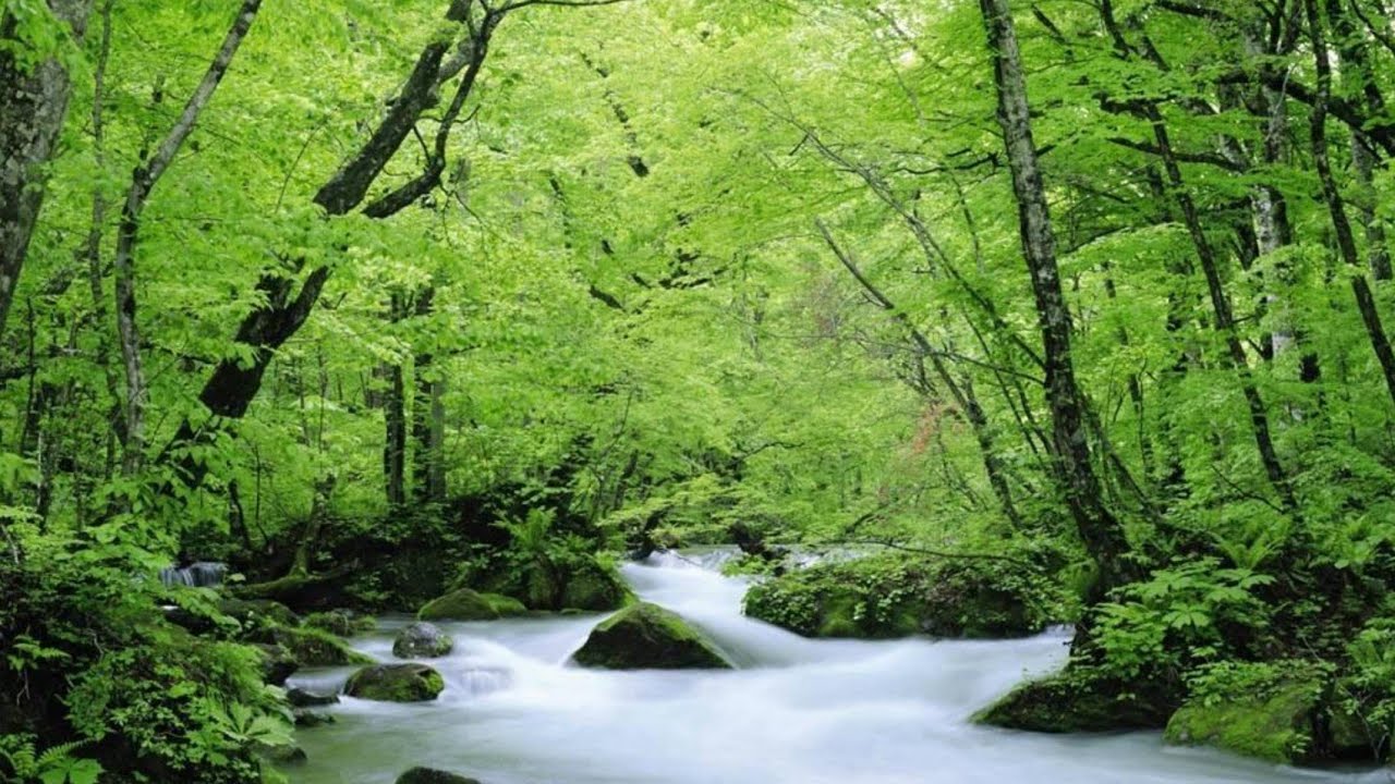 قاعده ذهبيه في التعامل مع الاخرين .نصيحه من الدكتور ابراهيم الفقي Dr,Ibrahim Elfiky