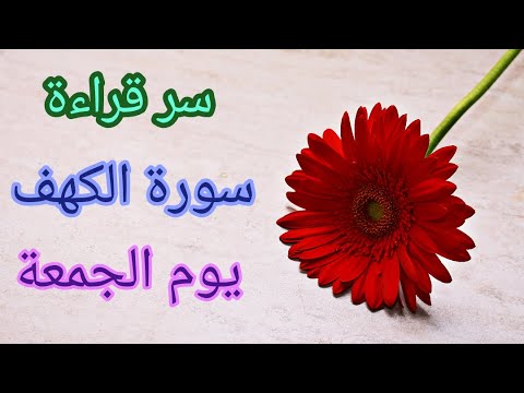سر قراءة سورة الكهف يوم الجمعه الدكتور محمد راتب النابلسي