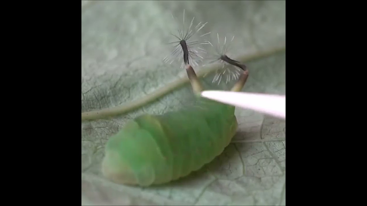 ٩ أكتوبر، ٢٠٢١