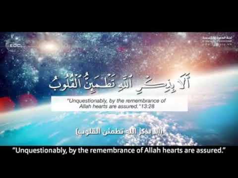 اطلبني ستجدني||روائع الشيخ د..محمد راتب النابلسي