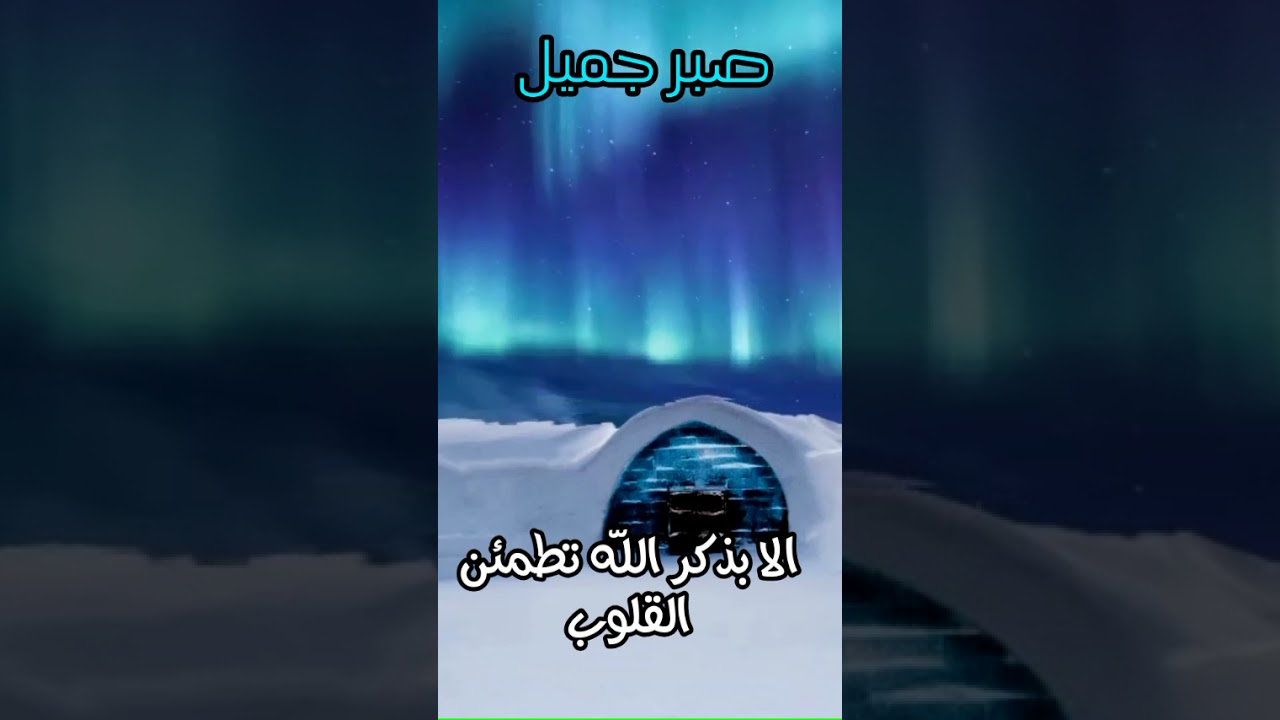 السعادة الحقيقية هي …!! • محمد راتب النابلسي #shorts