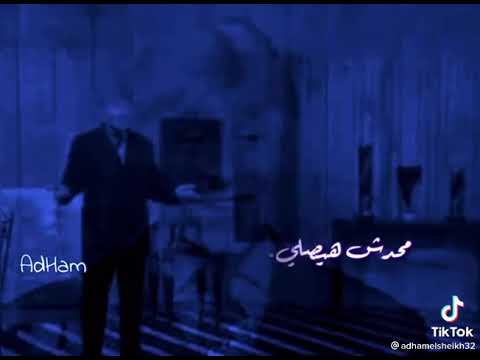 ابراهيم الفقي 🌎