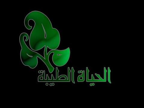 فن الهدوء وضبط النفس مع الدكتور ابراهيم الفقي