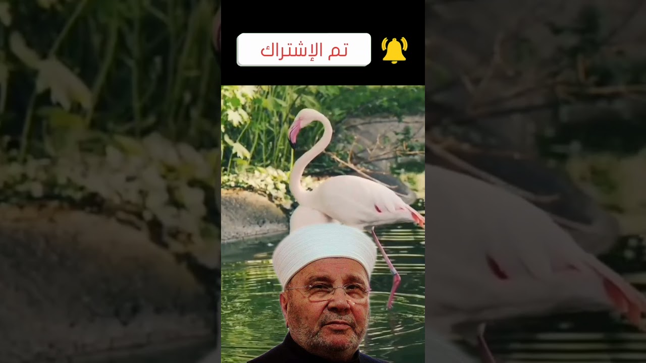مع الرسول 🌹👌 الدكتور محمد راتب النابلسي أسمع ❤️👂 ماذا يقول الدكتور