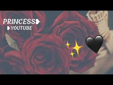 محمد راتب النابلسي