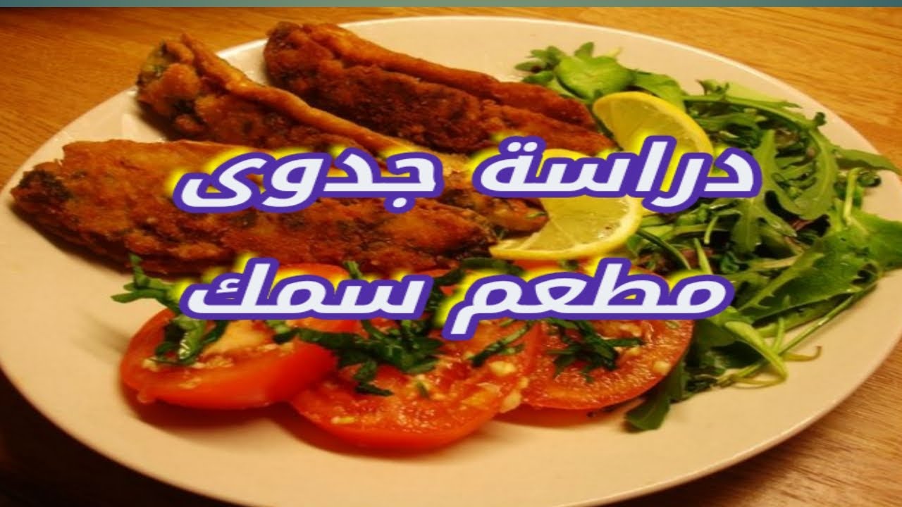 دراسة جدوى عن مطعم سمك باقل تكلفة المعدات المطلوبة والمساحة وكل التفاصيل