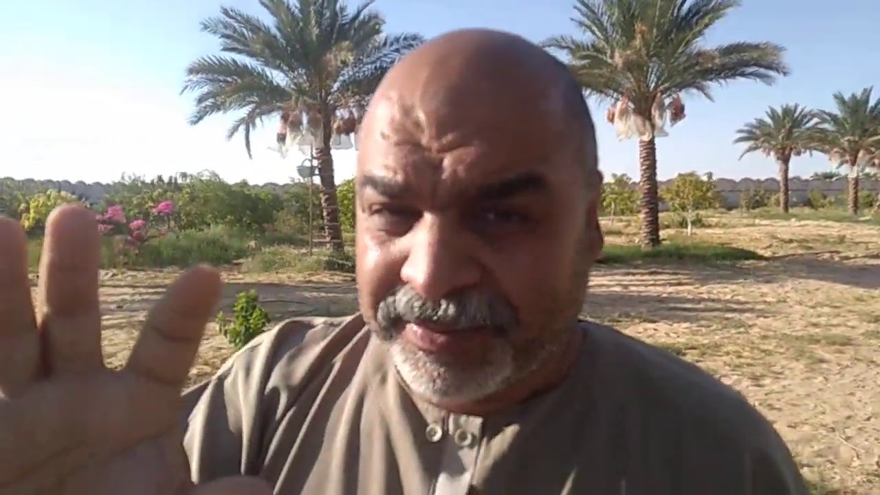 دراسة جدوى لمشروع العمرلزراعة النخيل ولقاء/م.خالد عبدالقادربالفرافرة/الوادي٠١١٥٢٨٦٩٩٨١/٠١٠٦٥٧٤٤٩٢١