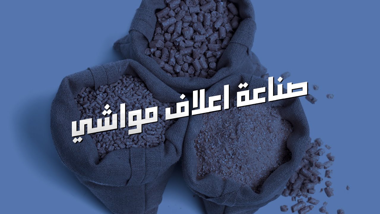 دراسة جدوى مشروع صناعة أعلاف مواشي