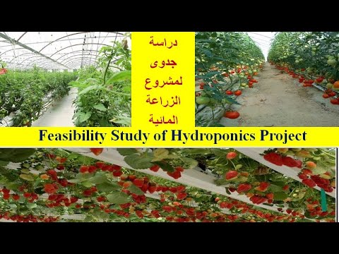 دراسة جدوى لمشروع الزراعة المائية