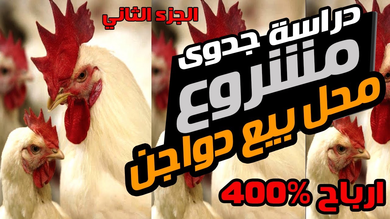 دراسة جدوى مشروع محل بيع دواجن 2021 – محل فراخ الجزء الثاني