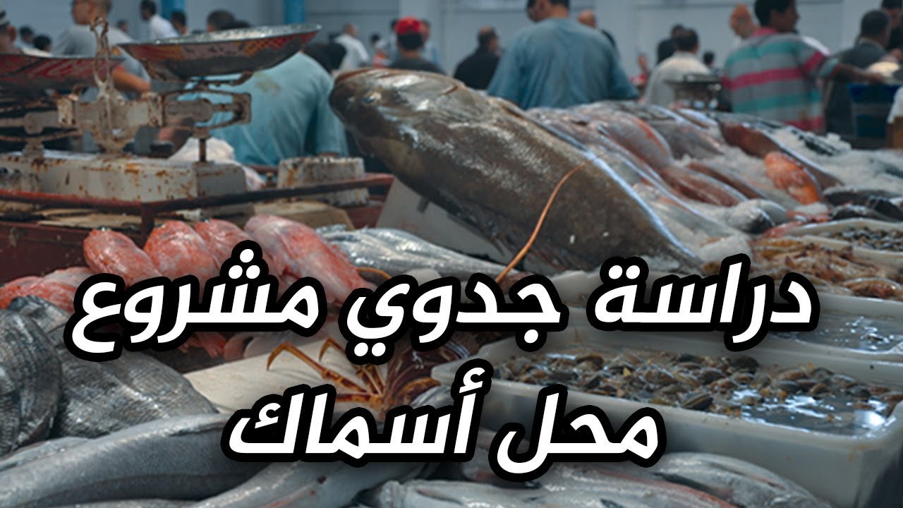 دراسة جدوى مشروع محل أسماك وأهم النصائح لنجاح المشروع