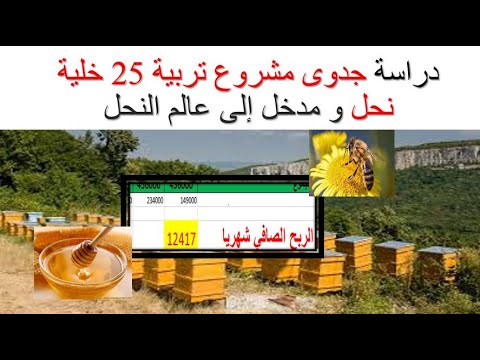 دراسة جدوى مشروع تربية 25 خلية نحل