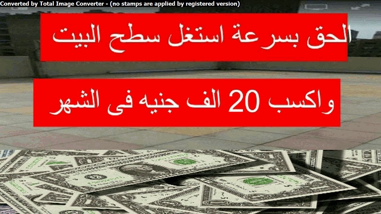 مشروع مزرعة دواجن دراسة جدوى كاملة
