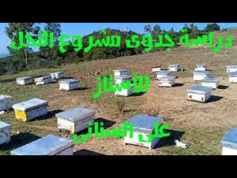 تصميم دراسة جدوى مشروع النحل للاستاذ على السنانى