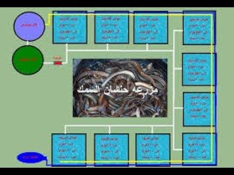 مشروع العمر 💥 دراسه جدوى مزرعه ثعبان السمك الفاخر  💥