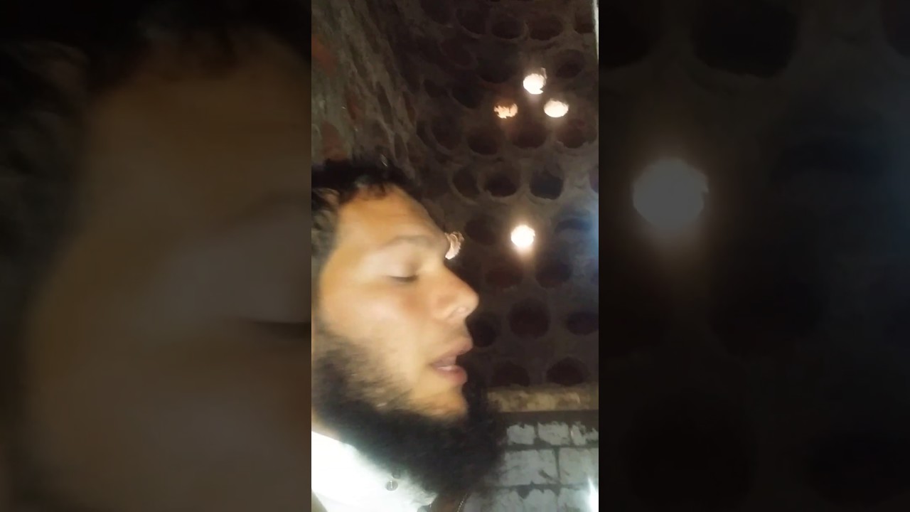 دراسة جدوى ل أبراج الحمام إنتاجه واسعاره تصميم صبري والي 01000739728//01274716599