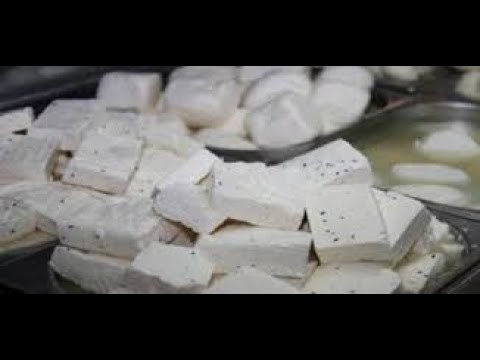 دراسة جدوى مشروع صناعة الجبنة البيضاء