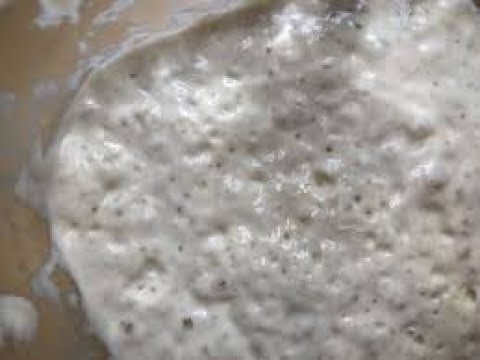 دراسة جدوى فكرة مشروع انتاج خميرة الخبز