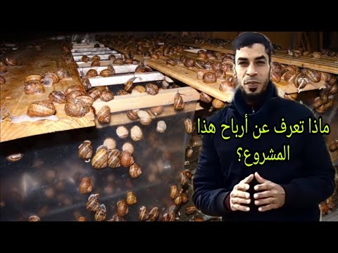 دراسة جدوى مشروع تربية الحلزون +التسويق +طرق تربية الحلزون