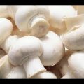 ناجح جدا دراسة جدوى لمشروع زراعة عيش الغراب او المشروم Cultivation of mushrooms