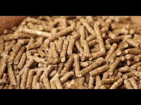 قناة اخبار المزارع السمكية :دراسة جدوى تربية الجمبرى القزاز داخل منظومة الاستزراع السمكى RAS