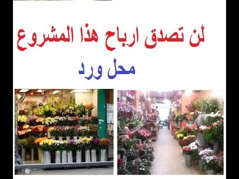 دراسة جدوى فكرة مشروع محل ورد فى مصر
