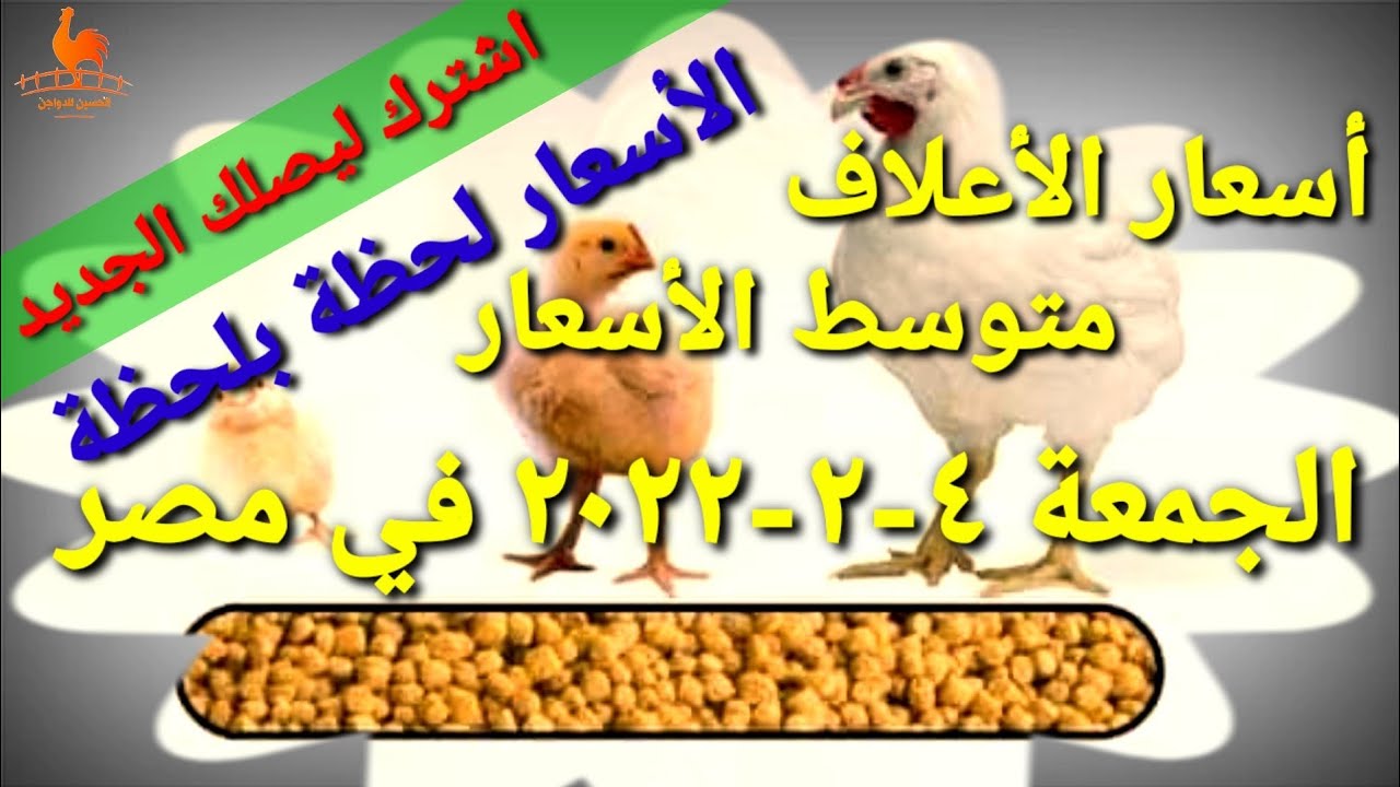 اسعار أعلاف الدواجن اليوم الجمعة 04-02-2022 في مصر