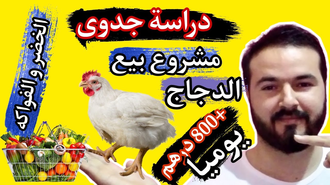 دراسة جدوى مشروع محل بيع الدجاج و الخضر و الفواكه في المغرب رأسمال صغير  أرباح كبيرة +800 درهم يوميا