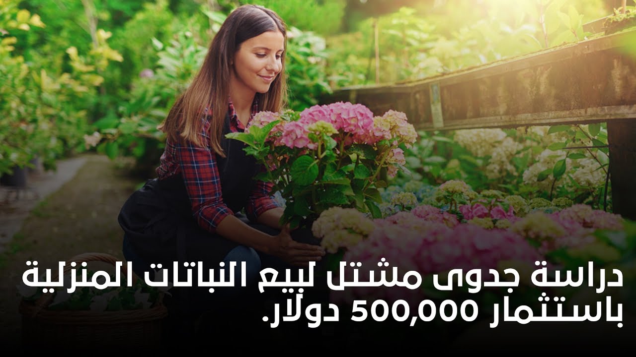 دراسة جدوى مشتل لبيع النباتات المنزلية