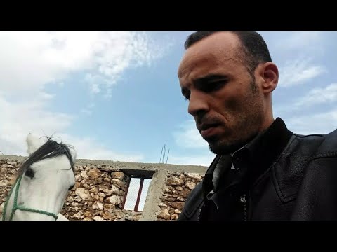 دراسة جدوى بضيعة الحاج محمد لتربية الحيوانية بالاعلاف البديلة + زيارة صديقي أيوب قناة طريقك لنجاح.