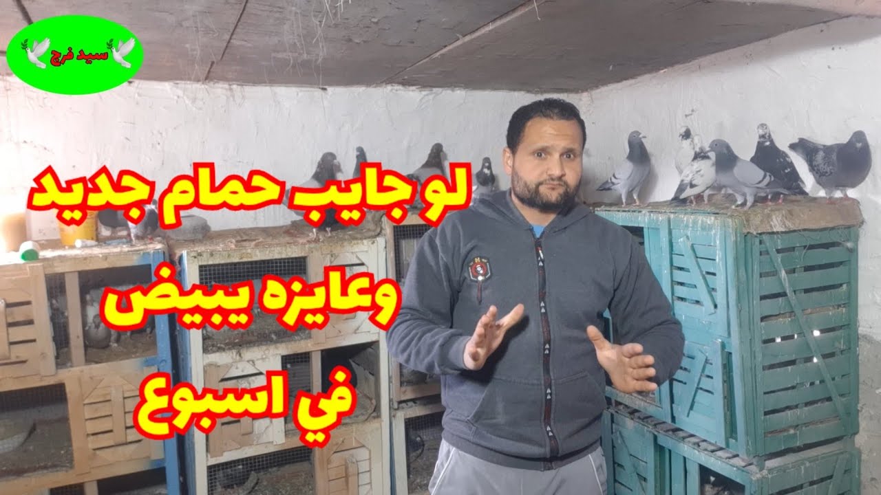 ازاي تتعامل مع# الحمام الجديد قبل ما يدخل علي #حمامك وازاي تخليه#يبيض في خلال أسبوع
