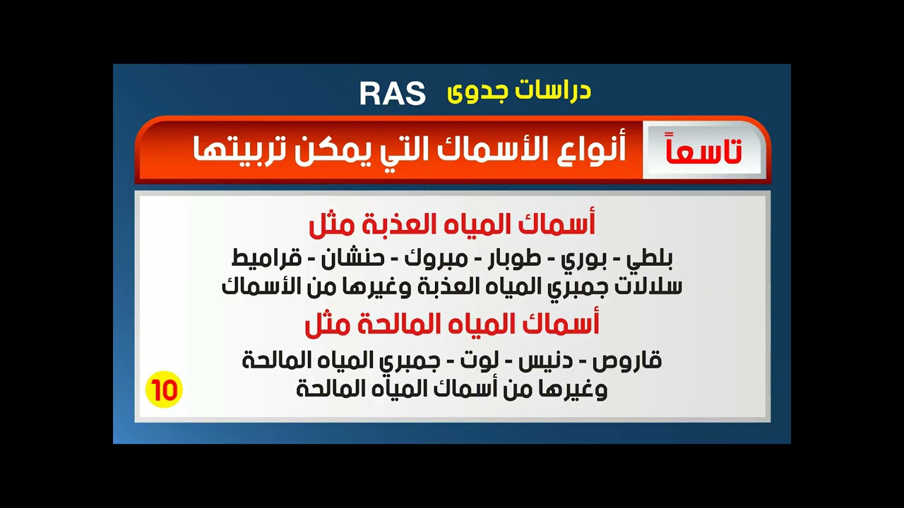 قناة اخبار المزارع السمكية :دراسة جدوى تربية 50 الف سمكه فى مساحة 200 متر مكعب لانتاج 12 طن اسماك