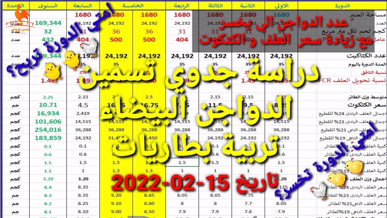 دراسة جدوي تسمين تربية بطاريات دورة رجب عام 2022/2021