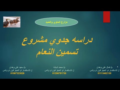 دراسه جدوي مشروع تربيه وتسمين النعام بأخر الاسعار 2022 | دراسه شامله جميع التكاليف من اسبوع ل 9 شهور