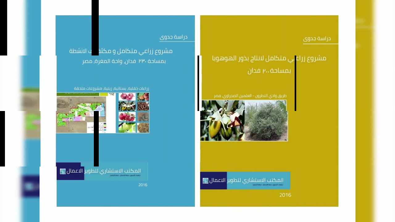 دراسات جدوى من سابقة اعمال المكتب الاستشاري لتطوير الاعمال 2016