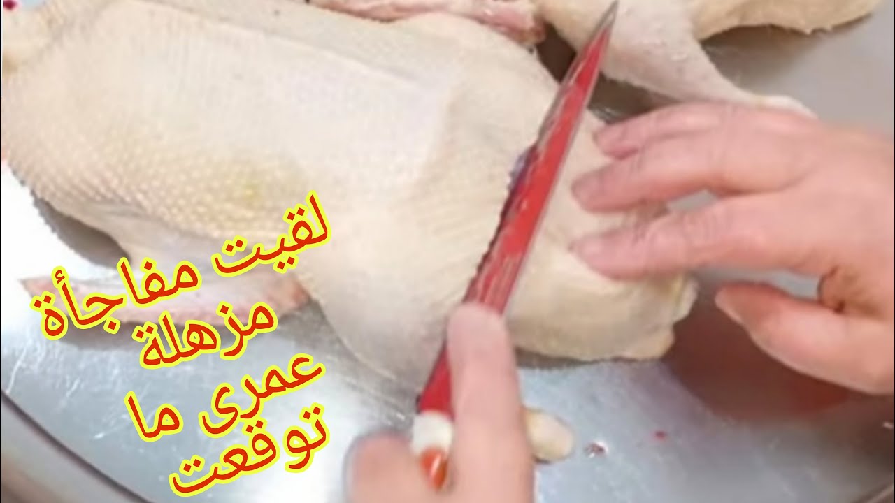 جوا بطن البطة البيضة لقيت مفاجأة صد متنى عمرى ما توقعت اشوفها خلتني اغير رأي فيه