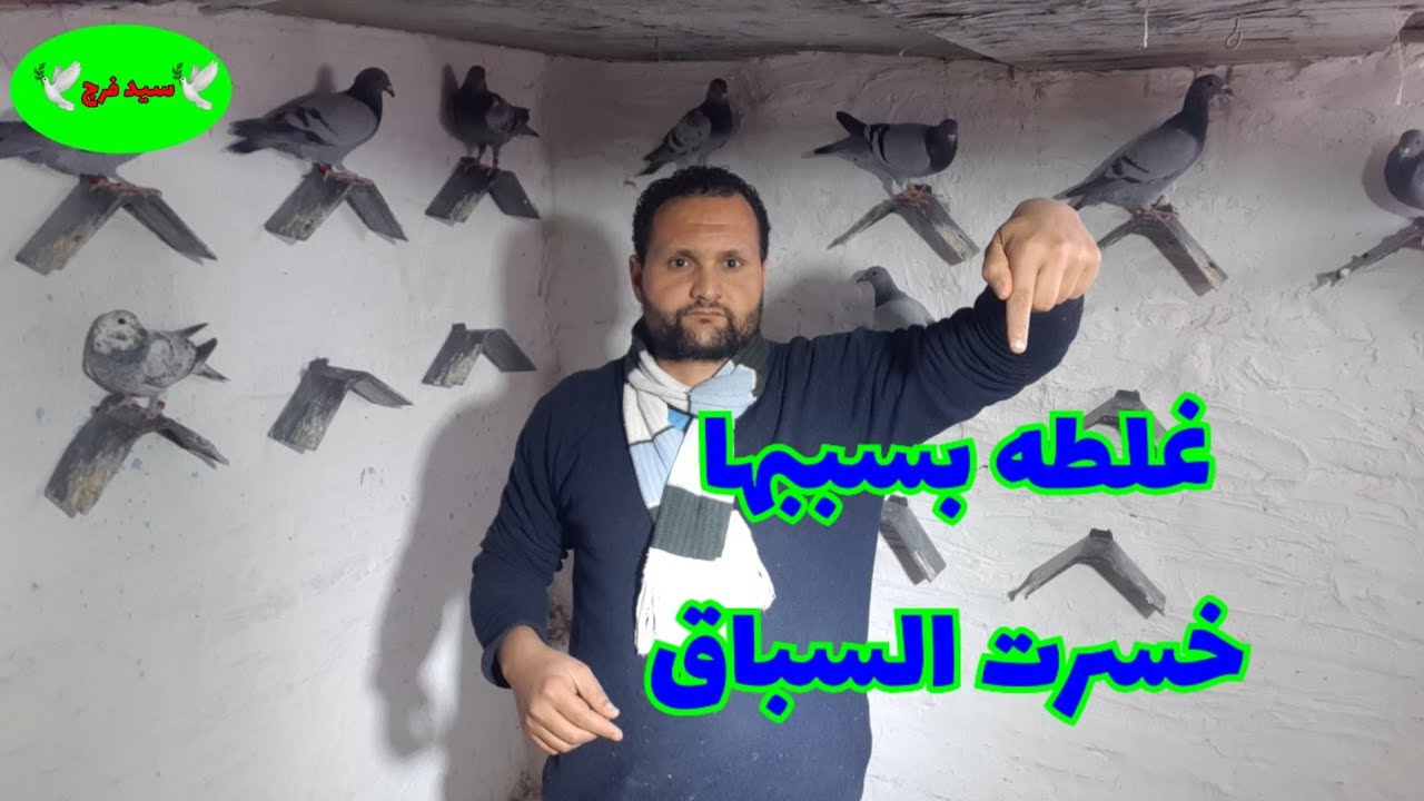 غلطه#الشاطر ب ١٠٠٠ غلطه وقعت فيها#الحمام  وصل متأخر ١٠ دقايق بلاش#تغلط الخلطه دي و#السباق يروح منك