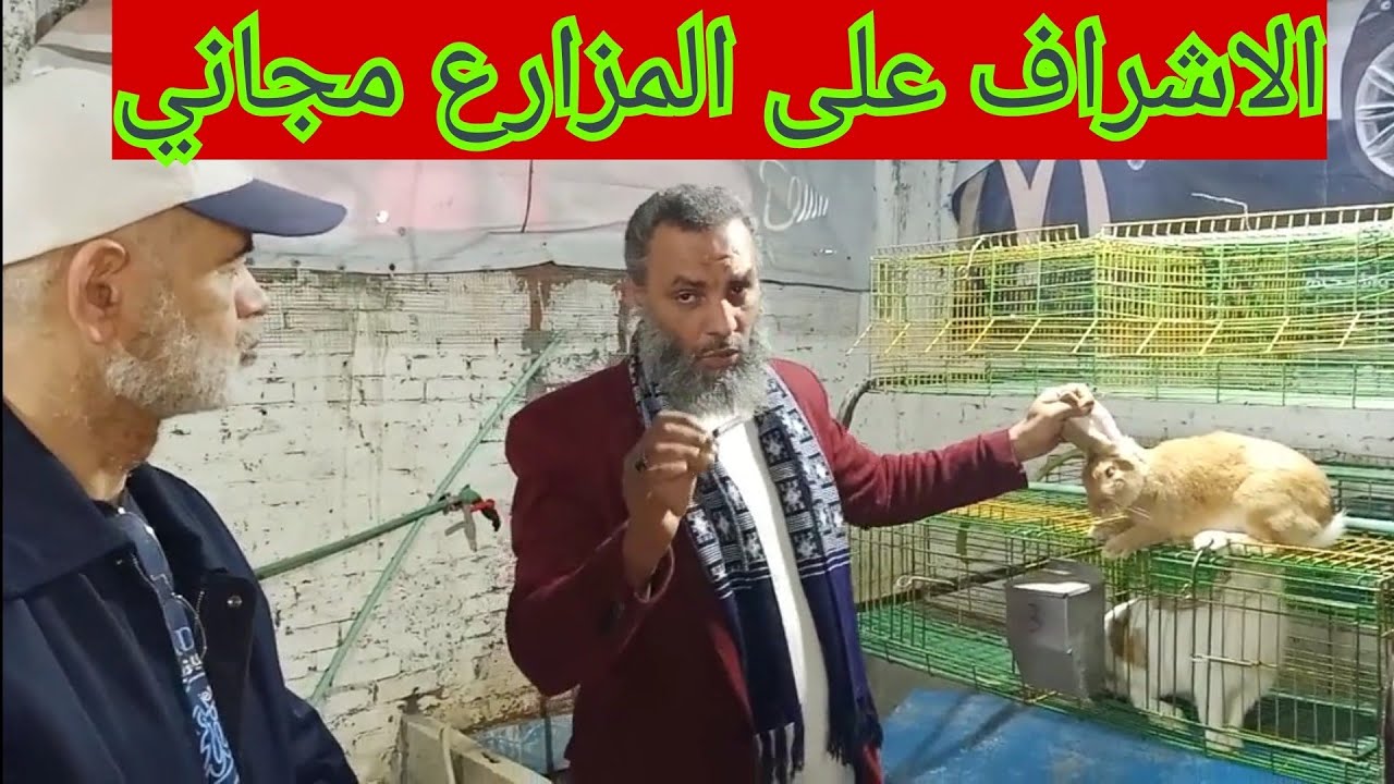 ليه كده خساره مزرعه في العوايد اسكندريه شوف حصل ايه وتعلم