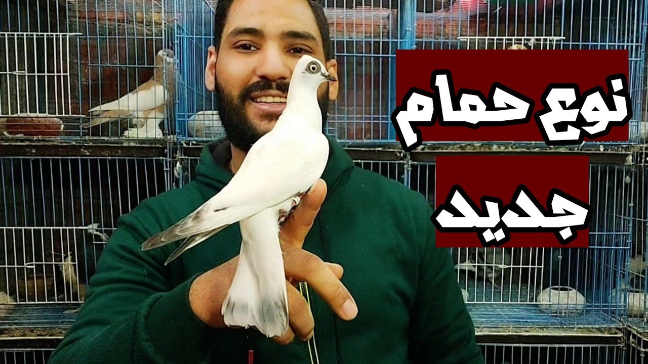 اشتريت نوع حمام ناااادر جدا | شوف شكله ايه