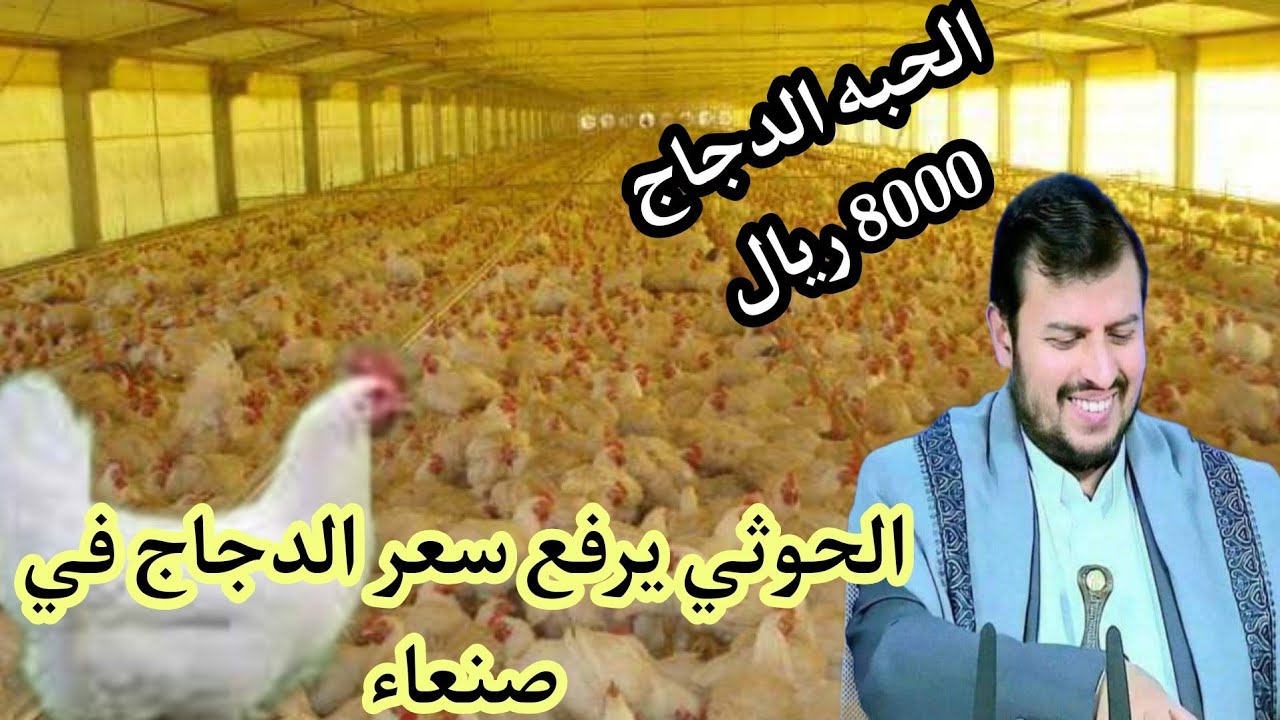 ارتفاع اسعار بيع الدجاج في اليمن والحوثي يرد من صنعاء ماهو سبب الارتفاع