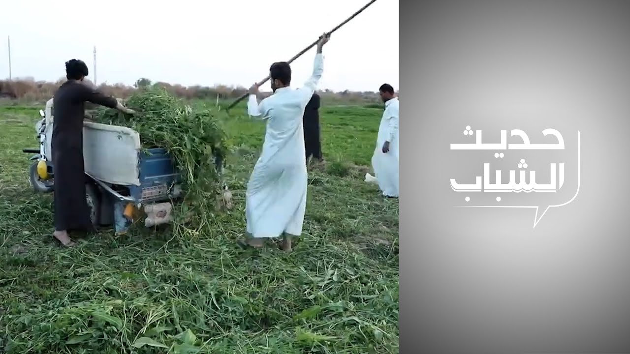 حديث الشباب – الفلاحون الشباب.. تمسك بالأرض رغم الصعوبات