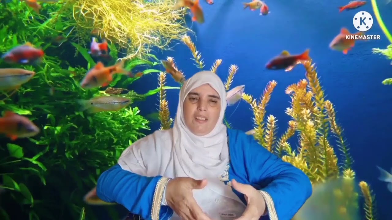 فوائد الالتزام ،ب التركيز على 3 مكونات، رئيسية،الصلاة،قراءة.القرآن،حضور المسجد،تطوير الذات،